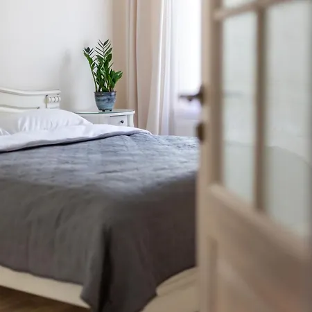Spacious 2bdr In Old Town Apartment *