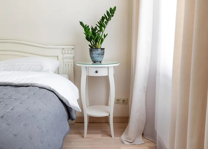 Spacious 2bdr In Old Town Apartment