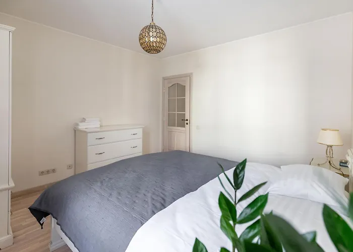 Spacious 2bdr In Old Town *