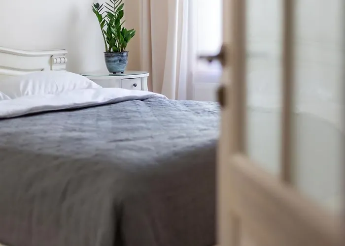 Spacious 2bdr In Old Town Butas *