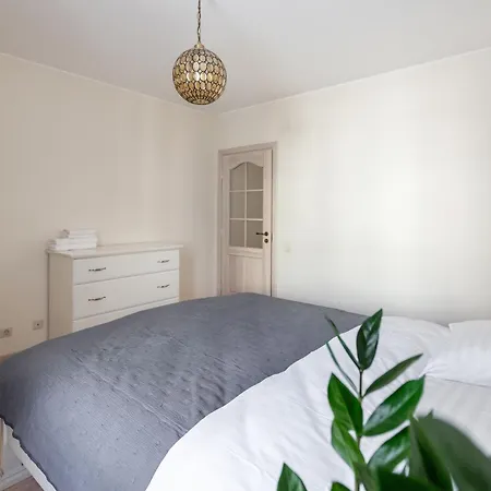 Spacious 2bdr In Old Town *